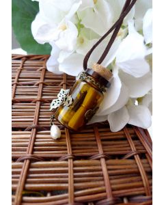 Daisy Butterfly Messenger Bottle Necklace 